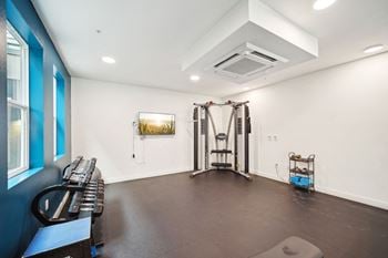 Free weights